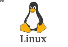 Linux如何查看进程信息 ps命令参数说明-Linux老运维