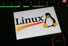 如何设置服务最大文件句柄数 ulimit系统限制调整-Linux老运维