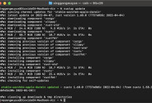 Rust学习笔记:1.1 简介与安装-Linux老运维