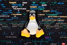 如何列出Debian已安装软件包 dpkg -l命令使用详解-Linux老运维