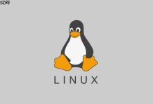 run目录的临时特性 运行时数据存储特点说明-Linux老运维