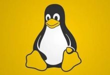 如何查看Linux网络接口RingBuffer 环形缓冲区调优方法-Linux老运维