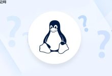如何查看Linux磁盘分区情况 fdisk和lsblk命令使用指南-Linux老运维
