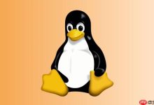 如何设置Linux网络接口RPS 软中断负载均衡配置-Linux老运维