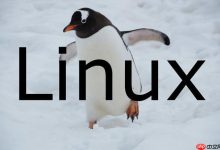 Linux如何重启某个服务?常见服务管理命令汇总-Linux老运维