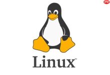 Linux如何列出当前目录所有文件? ls命令显示文件列表的3种常用方式-Linux老运维