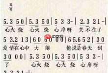 【Linux】While循环吃hang行了?(图是一个毒)-Linux老运维