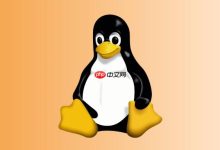 如何查看Linux网络接口详细信息 ip link命令全面解析-Linux老运维