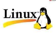 解决Linux下