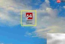 AIDA64语言切换方法-Linux老运维