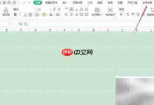 WPS进存销功能入口指南-Linux老运维
