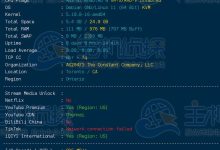 Vultr怎么样?Vultr印度班加罗尔速度和性能测评-Linux老运维