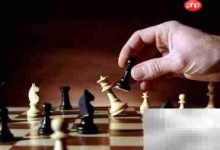 王对王算输?国际象棋规则解析-Linux老运维