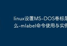 linux设置MS-DOS卷标是什么-mlabel命令使用与实例-Linux老运维