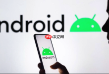 vivo手机便捷支付系统设置_vivo手机扫码支付的流畅体验-Linux老运维