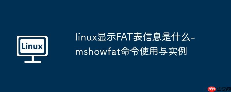 linux显示FAT表信息是什么-mshowfat命令使用与实例-Linux老运维