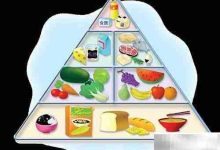 膳食评价：营养师实践关键-Linux老运维