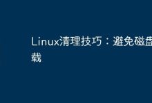 Linux清理技巧:避免磁盘满载-Linux老运维