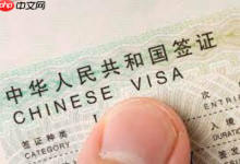 K签申请需要担保人吗_K签申请担保人要求与职责-Linux老运维