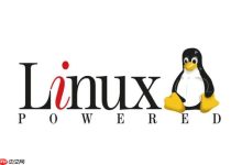 修复Linux网络
