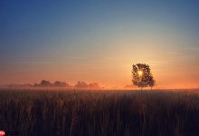 三星手机屏幕锁定无法开机？强制恢复出厂设置步骤-Linux老运维