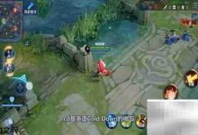 王者荣耀CD是什么意思-Linux老运维