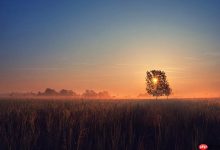 三星手机双清怎么操作？清除缓存和数据步骤指南-Linux老运维