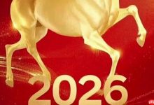 2026年属相查询_2026年生肖是什么-Linux老运维