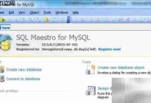Maestro函数参数添加指南-Linux老运维