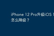 iPhone 12 Pro升级iOS 18后怎么降级？-Linux老运维