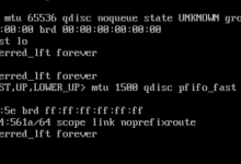 Linux虚拟机ipaddr/ifconfig不显示IP的解决方法(亲测有效)-Linux老运维