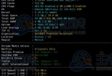 BuyVM欧洲VPS怎么样?BuyVM欧洲VPS卢森堡机房评测-Linux老运维