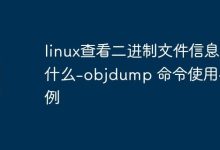 linux查看二进制文件信息是什么-objdump 命令使用与实例-Linux老运维