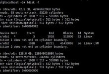 centos系统VPS服务器挂载数据盘教程-Linux老运维
