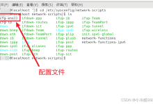 centos配置静态IP后不生效怎么办,如何正确配置?-Linux老运维
