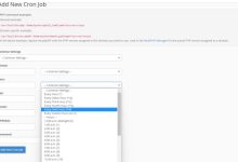 使用cPanel设置Cron Jobs的方法步骤-Linux老运维