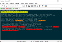 SecureCRT怎么输入命令?SecureCRT输入命令的方法-Linux老运维